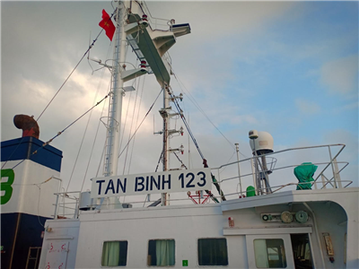 MV TAN BINH 123